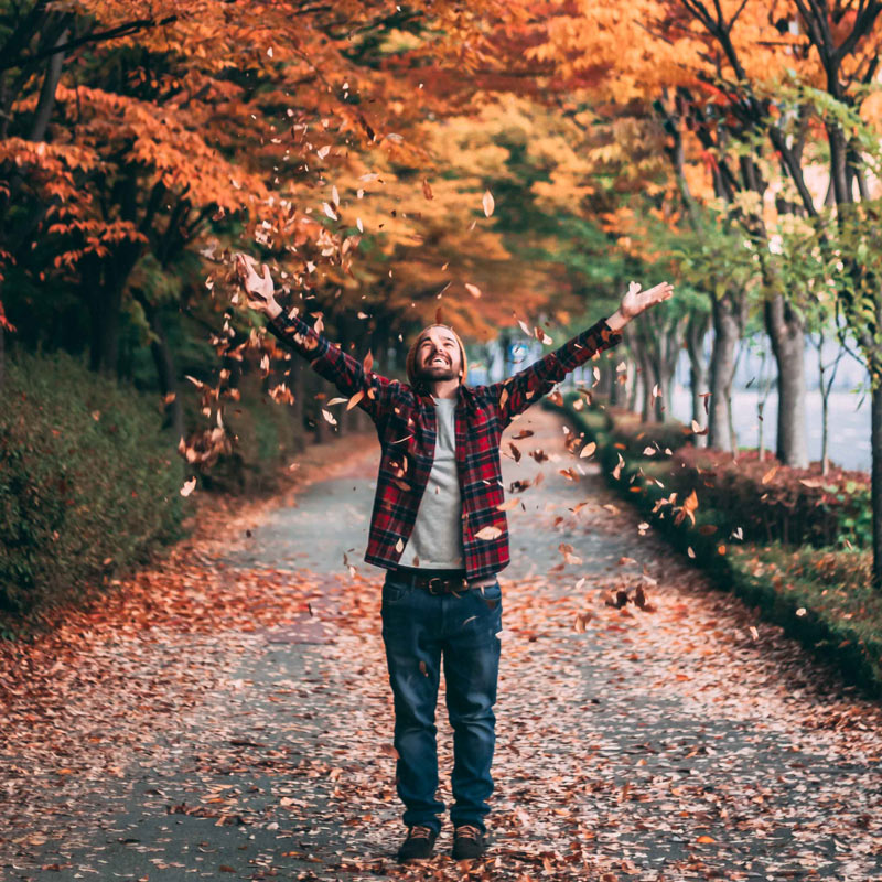 Descubre la Magia del Otoño en Madrid: Lugares Imperdibles para Disfrutar de las Hojas de Colores