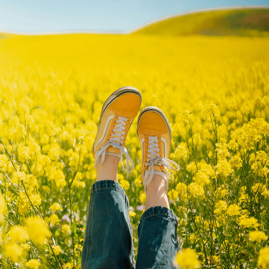 Refranes de Primavera: Sabiduría Popular en Español