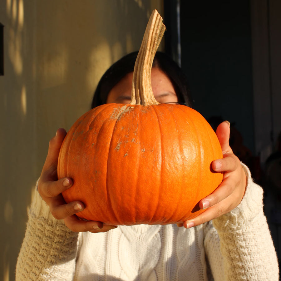Expresiones con comida en español, mucho más que sabores